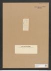 Diatomeae indet. Zeichnungen Sammlung Grunow Nr. 3911 (NHMW-BOT-W0371641)